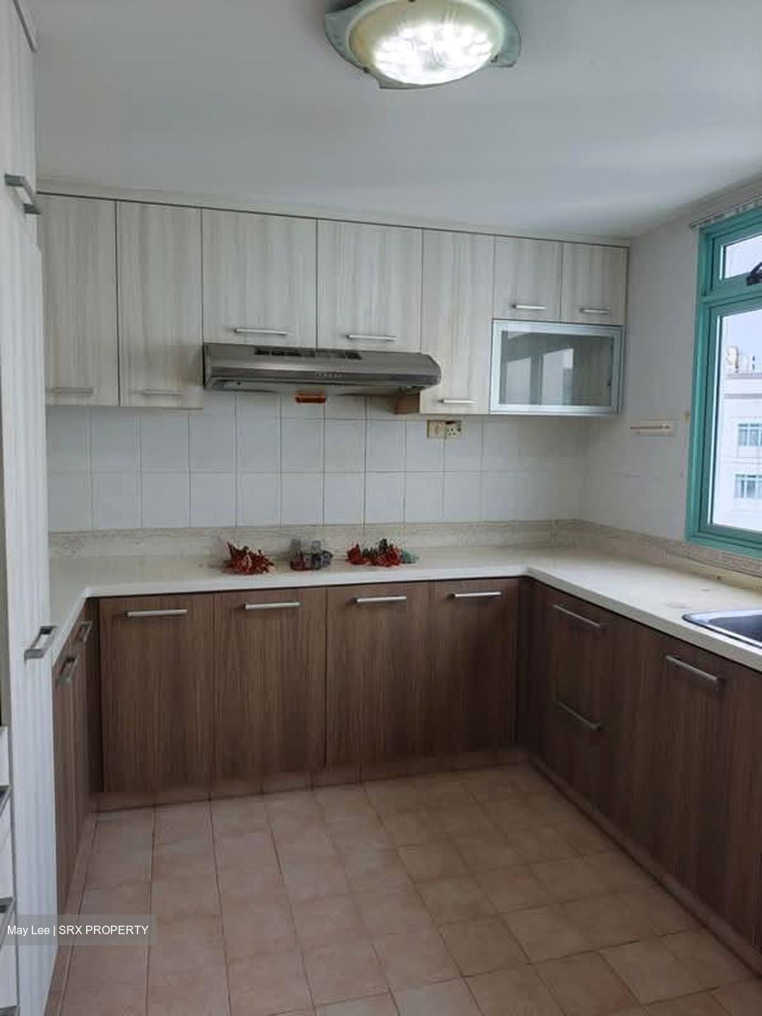 Ballota Park Condominium (D17), Condominium #573529121